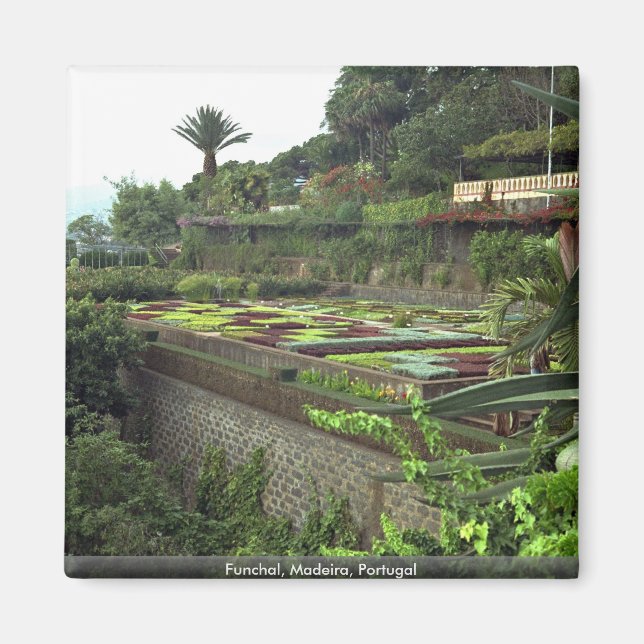 Funchal, Madeira, Portugal Magnet (Vorne)