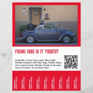 Fundhund Abriss  Flyer
