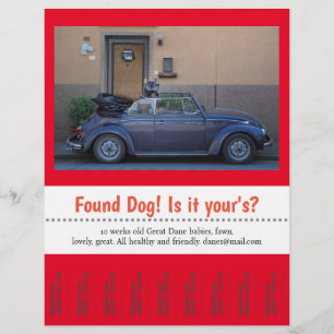 Fundhund zum Abreißen  Flyer