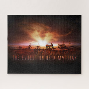 Fünf erfolgreiche Mars Rovers