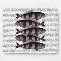 Fünf gestreifte Fische