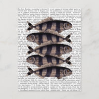 Fünf gestreifte Fische