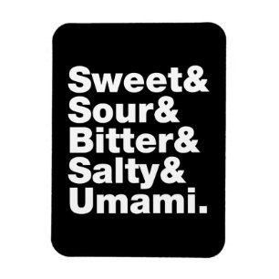 Fünf Grundgeschmacksrichtungen Magnet