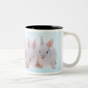 Fünf Kaninchen Zweifarbige Tasse