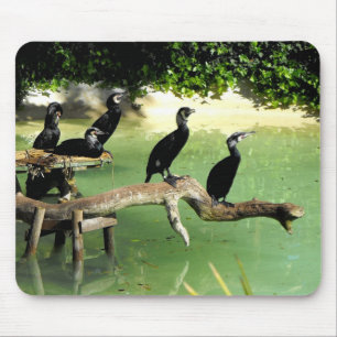Fünf Kormorane Mousepad