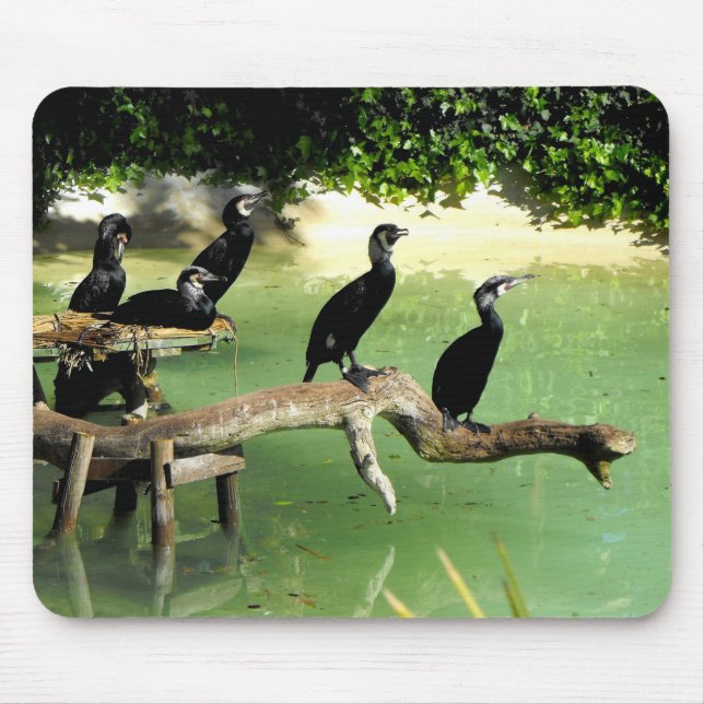 Fünf Kormorane Mousepad (Vorne)