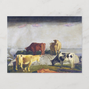 Fünf Kühe -George Bellows Gemälde Postkarte