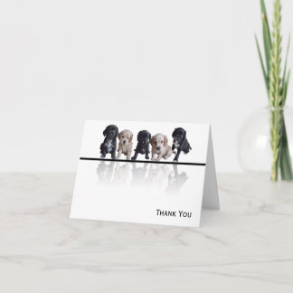 Fünf Schwarze und Tan Cocker Spanische Welpen Dankeskarte