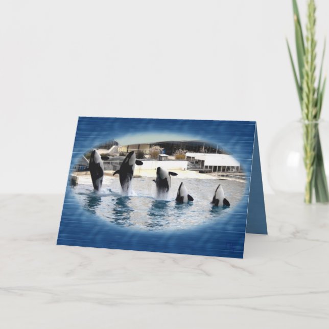Fünf! Schwertwale bei Marineland (Frankreich) Karte (Vorderseite)