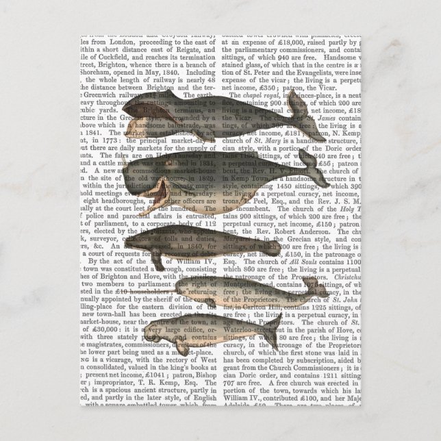 Fünf Vintage Wale Postkarte (Vorderseite)