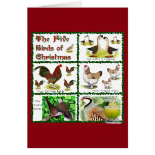 Fünf Vögel zu Weihnachten