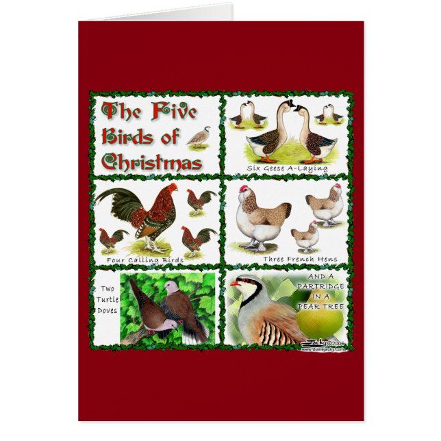 Fünf Vögel zu Weihnachten (Vorne)