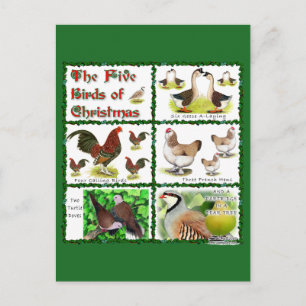 Fünf Vögel zu Weihnachten