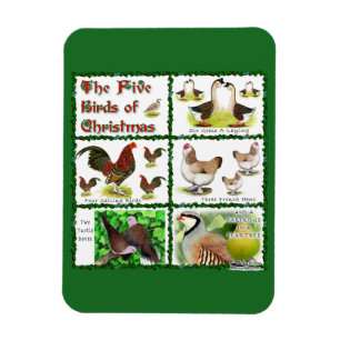 Fünf Vögel zu Weihnachten Magnet