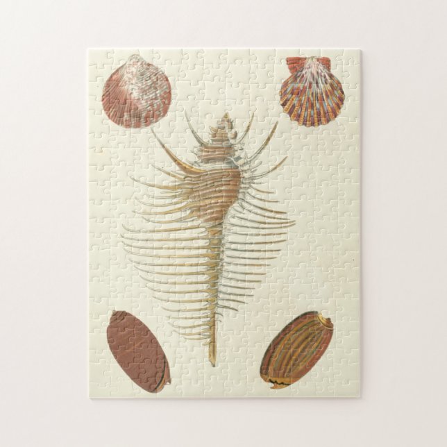 Fünf von einer Art Seashells (Vertikal)