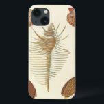 Fünf von einer Art Seashells Case-Mate iPhone Hülle<br><div class="desc">George Wolfgang Knorr ist bekannt für seine feinen Details und die Präzision seiner Illustrationen von Muscheln und Konchen. Seine Zeichnungen wurden von seinem eigenen Interesse an der Wissenschaft beeinflusst, einem beliebten Thema seiner Zeit. Dieses einzigartige Kunstwerk von Knorr leistet wirklich eine großartige Arbeit, um die verschiedenen Muscheln und die Meereswelt...</div>