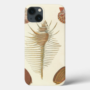 Fünf von einer Art Seashells iPhone 13 Hülle