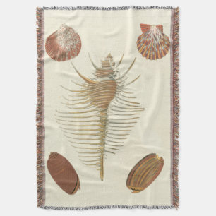 Fünf von nette Seashells Decke