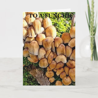 Funghi Birthday card Feiertagskarte
