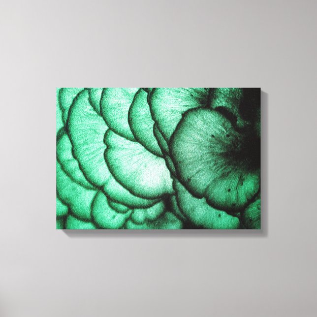 Fungi-Blume/Natur-Abstrakt Leinwanddruck (Vorderseite)