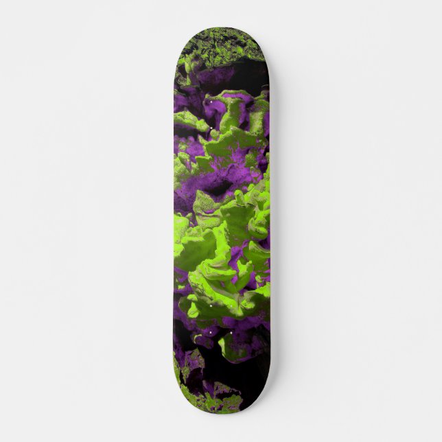 FUNGI BOARD SKATEBOARD (Vorne)