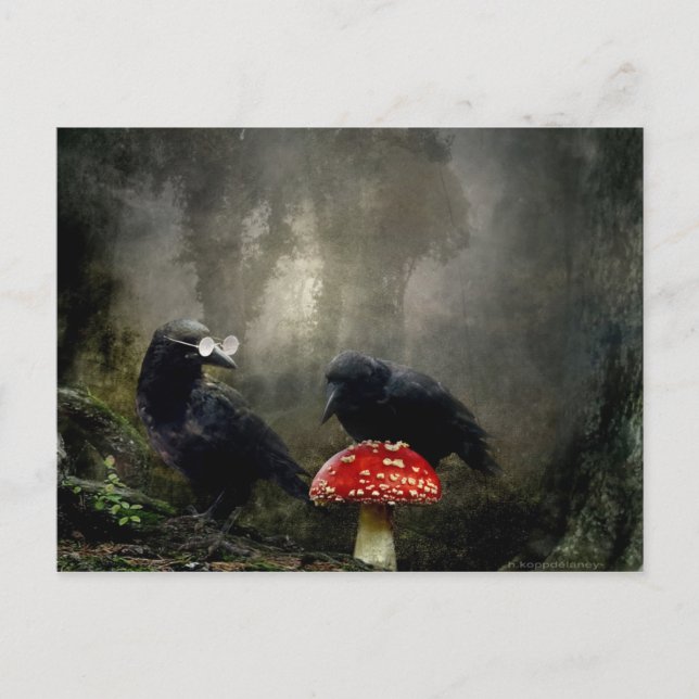 Fungi-Experten Postkarte (Vorderseite)