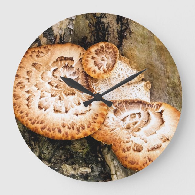 FUNGI GROßE WANDUHR (Vorderseite)