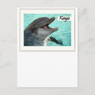 Fungie The Dolphin Postcard Postkarte
