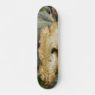 Fungus du plateau de skateboard sur la tige d'arbr