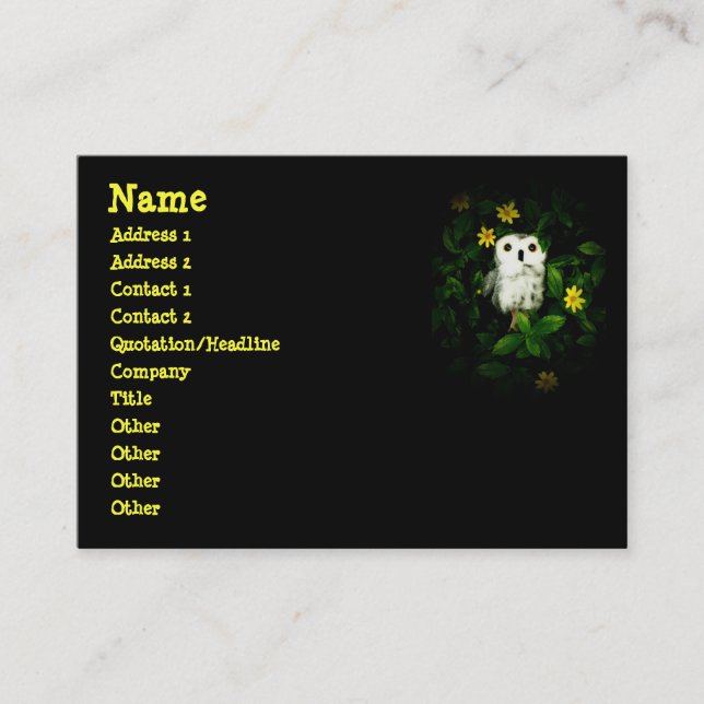 Funkeln-Funkeln-Stern-Eule Namecard Visitenkarte (Vorderseite)