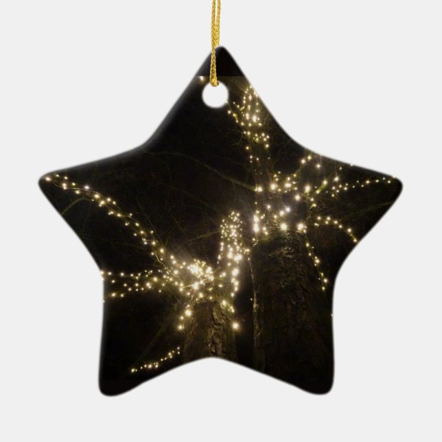 Funkelnde Außenbaumlichter Stern Ornament (Vorne)