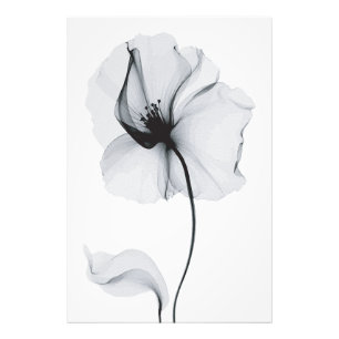 Funkelnde Blossom: Die strahlende Reflektion der N Fotodruck