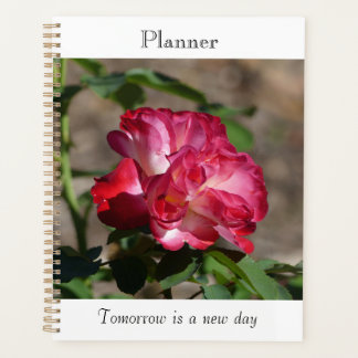 Funkelnder Rosenplaner Planer