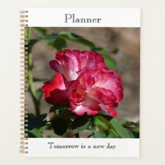 Funkelnder Rosenplaner Planer