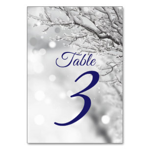 Funkelnder Winter Schneeeis-Hochzeit Tischnummer