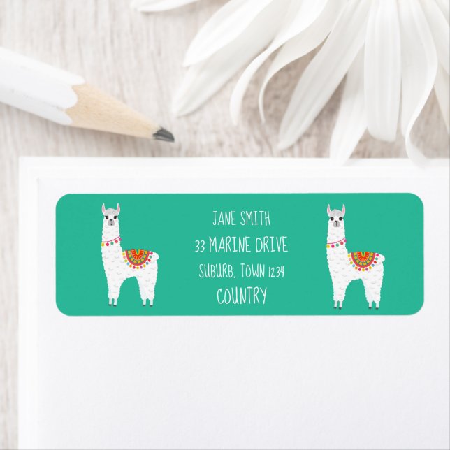 Funky Alpaca drama llama (Insitu)