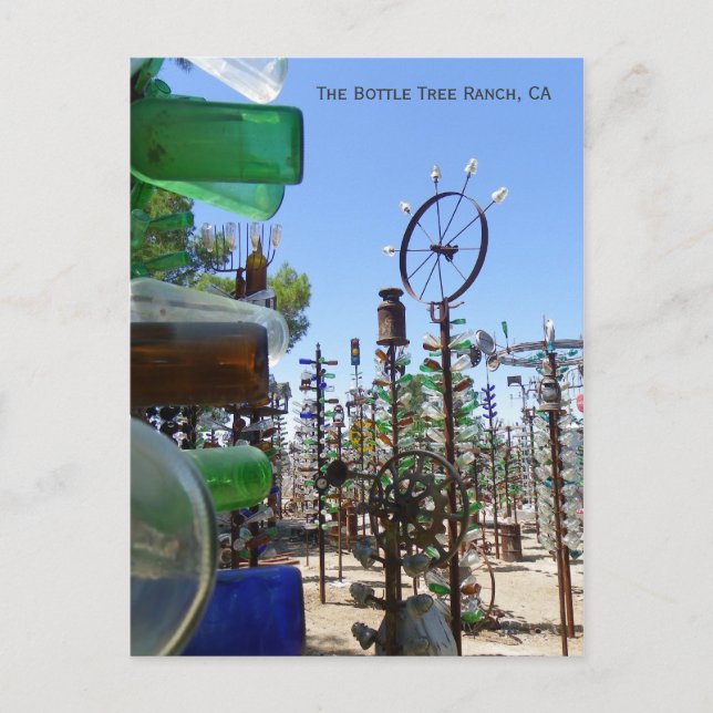 Funky Bottle Tree Ranch Postcard! Postkarte (Vorderseite)