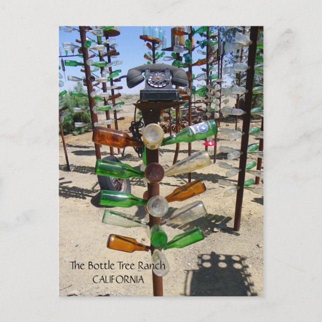 Funky Bottle Tree Ranch Postcard! Postkarte (Vorderseite)