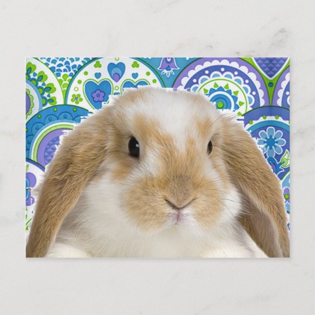 Funky Bunny Postkarte (Vorderseite)