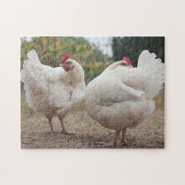 Funky Chicken Hen Hy Line Silver Brown (Horizontal)