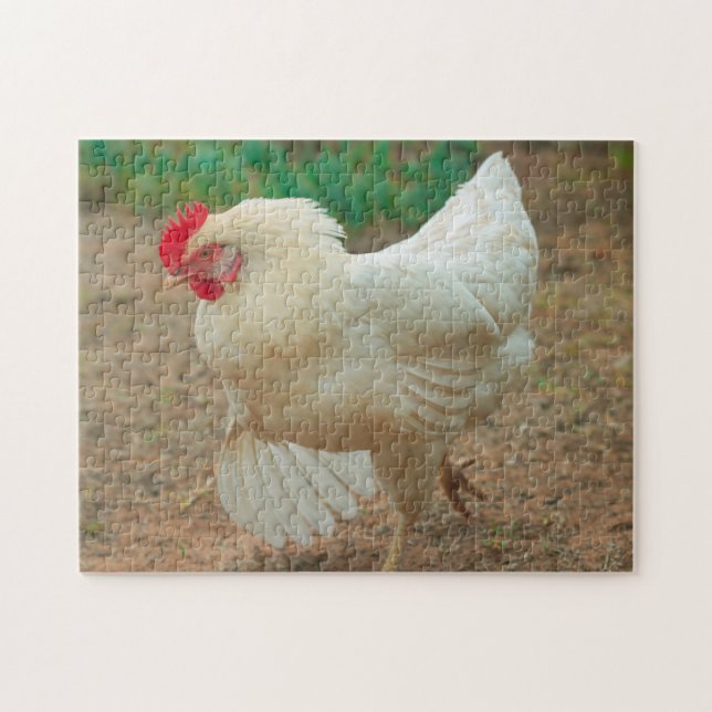 Funky Chicken Hen Hy Line Silver Brown (Horizontal)