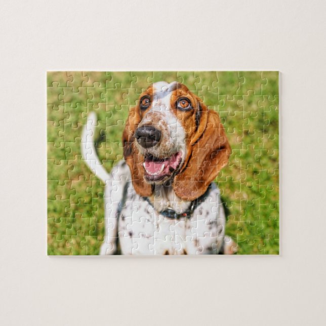 Funky Dog Basset Hound (Horizontal)