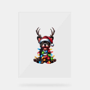 Funky French Bulldog Christmas Light Santa Hat Rei