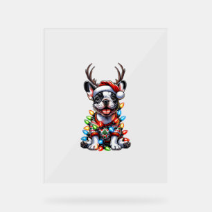 Funky French Bulldog Christmas Light Santa Hat Rei
