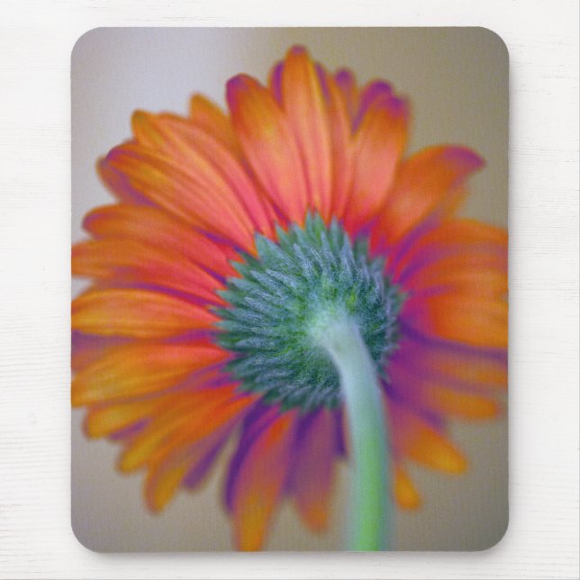 Funky Gerbera Mousepad (Vorne)