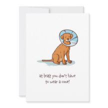 Funky Get Well Bientôt Cartes pour les femmes et l