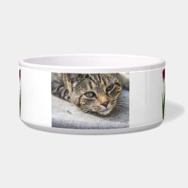 Funky Keramik Pet Bowl Napf