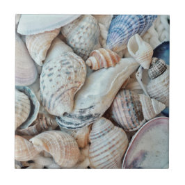 Funky Muscheln Holiday Seaside Fliese
