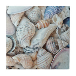 Funky Muscheln Holiday Seaside Fliese