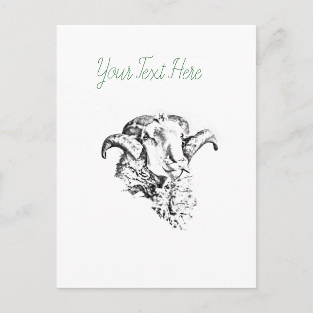 Funky Niedlich Sheep Ram Postkarte (Vorderseite)